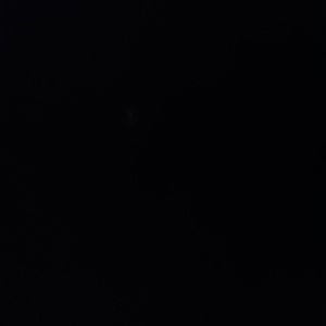 Meet your Posher, Boss